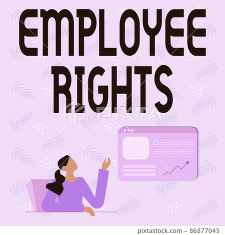 Hand writing sign Employee Rights. Internet Concept All employees have basic rights in their own workplace Line Drawing For Lady Sitting Presenting New Ideas With Web Browser Screen 86877045