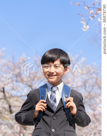 An elementary school boy carrying a school bag standing in front of a cherry tree 86878790