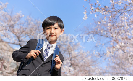 An elementary school boy carrying a school bag standing in front of a cherry tree 86878793
