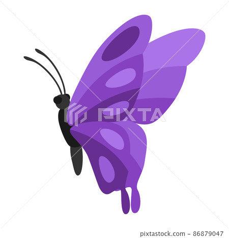 Illustration of decorative butterfly. Color abstract insect. Illustration of decorative butterfly. Color abstract insect. 86879047