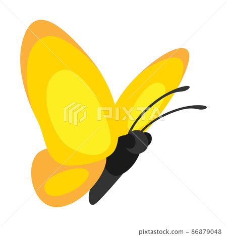Illustration of decorative butterfly. Color abstract insect. Illustration of decorative butterfly. Color abstract insect. 86879048