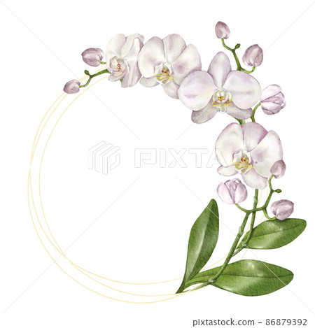 Elegant golden round frame with an orchid. Isolated on white 86879392