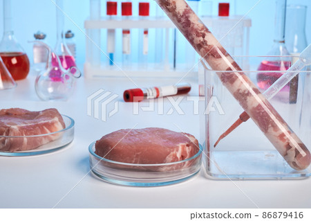 GMO Meat in Petri Dish on Lab Desk GMO Meat in Petri Dish on Lab Desk 86879416