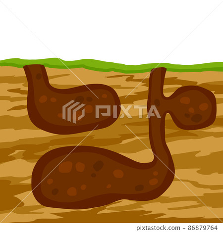Animal hole and burrow. Scheme of hiding insects and rodents, mice in ground. Tunnels in ground. Underground background. Flat design 86879764