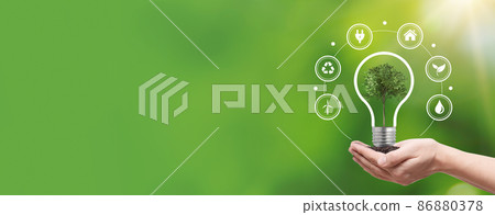 Hand holding tree. Save nature, ecology concept 86880378