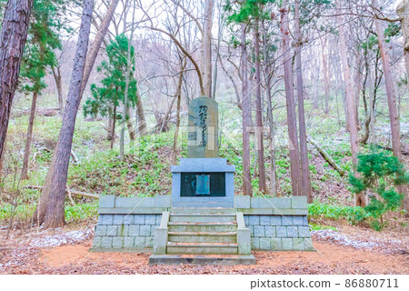 Natural memorial Maruyama Primitive Forest (Sapporo City) 86880711