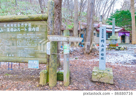 Natural memorial Maruyama Primitive Forest (Sapporo City) Natural memorial Maruyama Primitive Forest (Sapporo City) 86880716