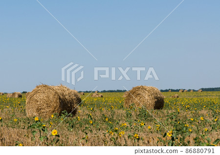 Haystack on the meadow Haystack on the meadow 86880791