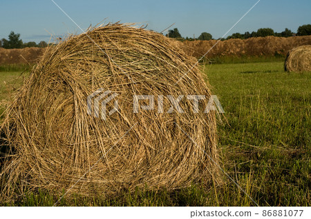 Haystack on the meadow 86881077