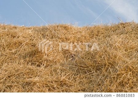 Straw 86881083