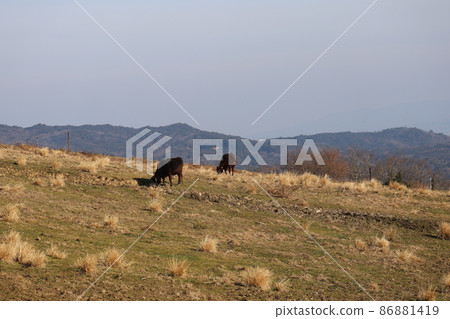 A ranch with two cows grazing and a view of the mountains and the sky 86881419