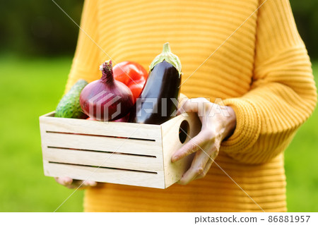 Senior woman farmer holding freshly picked organic vegetables. Healthy vegetarian food. Harvesting. Local business Senior woman farmer holding freshly picked organic vegetables. Healthy vegetarian food. Harvesting. Local business 86881957