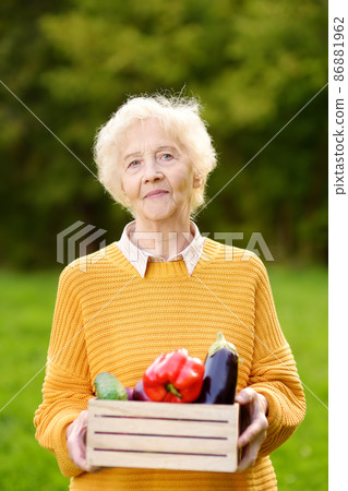 Senior woman farmer holding freshly picked organic vegetables. Healthy vegetarian food. Harvesting. Local business Senior woman farmer holding freshly picked organic vegetables. Healthy vegetarian food. Harvesting. Local business 86881962
