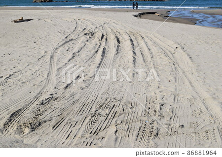 沙灘 86881964
