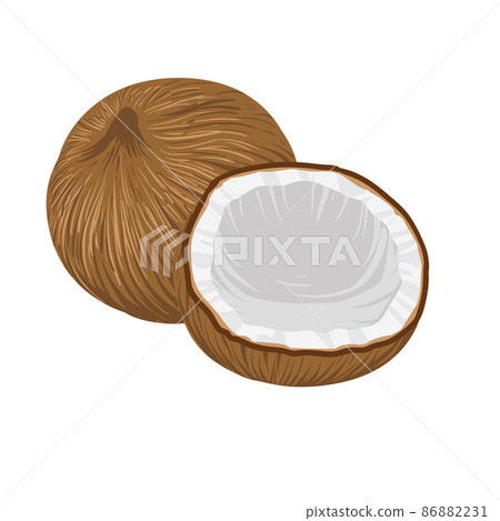 Whole Coconut, half and pieces of coconut 86882231