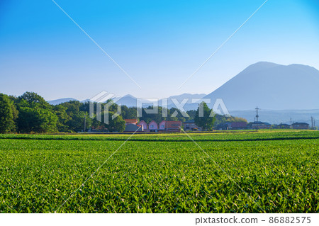 早春的早晨,赤城山和鍋張山方向的玉米田,從家畜實驗站交叉口附近的景色 早春的早晨,赤城山和鍋張山方向的玉米田,從家畜實驗站交叉口附近的景色 86882575