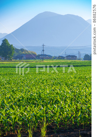 早春的早晨,赤城山和鍋張山方向的玉米田,從家畜實驗站交叉口附近的景色 早春的早晨,赤城山和鍋張山方向的玉米田,從家畜實驗站交叉口附近的景色 86882576