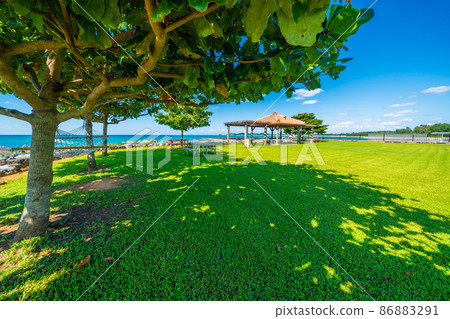 Park with hammock 86883291