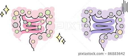 Illustration of intestinal environment 86883642