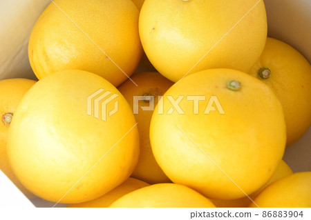 擊中太陽的盒子裡的柚子 86883904