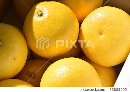 擊中太陽的盒子裡的柚子 擊中太陽的盒子裡的柚子 86883905