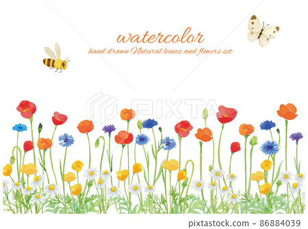 Flower field of poppies, cornflowers, chamomile 86884039