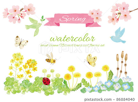 在春天的領域的風景 86884040