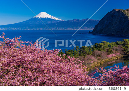 （靜岡縣）從河津櫻花盛開西面飯田，富士山過海 86884149