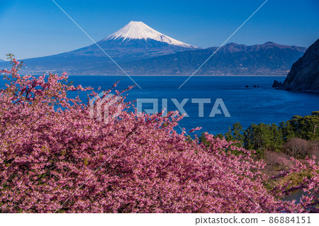 (靜岡縣)從河津櫻花盛開西面飯田,富士山過海 (靜岡縣)從河津櫻花盛開西面飯田,富士山過海 86884151