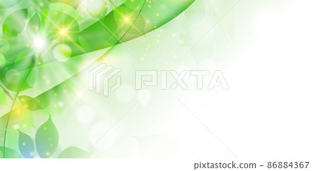 New green leaves Spring background 86884367