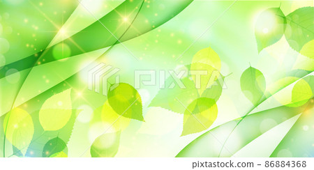New green leaves Spring background 86884368