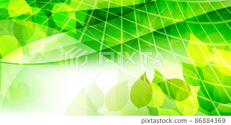 New green leaves Spring background New green leaves Spring background 86884369