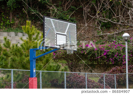 Park basketball goal 86884907