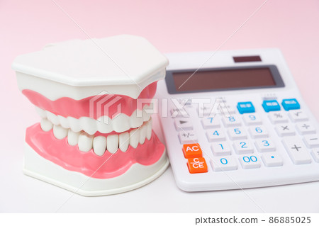 Tooth model and calculator 86885025