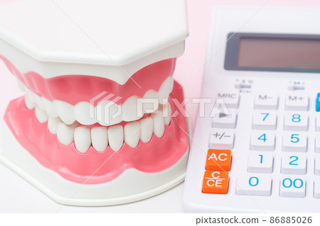 Tooth model and calculator 86885026