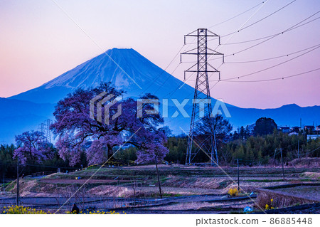[山梨縣] 黎明時分的櫻花萬塚和富士山 86885448