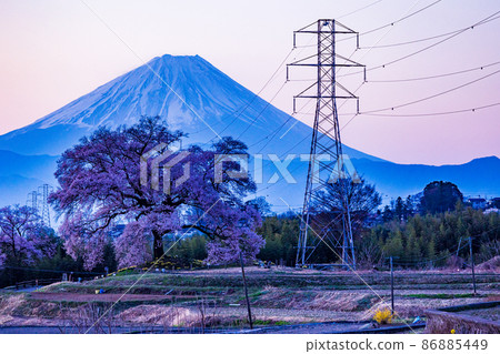 [山梨縣] 黎明時分的櫻花萬塚和富士山 86885449