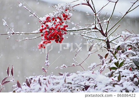 Southern sky on a snowy day Southern sky on a snowy day 86886422