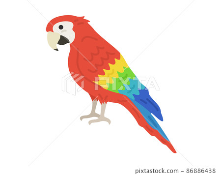 從側面看到的一隻鸚鵡的插圖 從側面看到的一隻鸚鵡的插圖 86886438