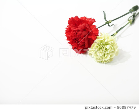 White and red carnation Mother's Day gift 2 86887479