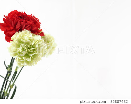 White and red carnations Mother's Day gifts 3 86887482