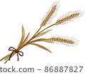 Wheat ears 86887827
