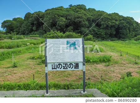 Tenri City, Nara Prefecture Mountainside Road 86890280