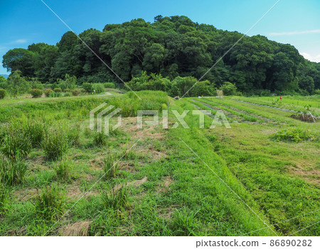 奈良縣天理市山腰路 奈良縣天理市山腰路 86890282