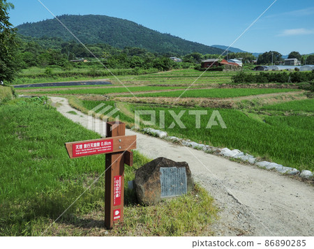 Tenri City, Nara Prefecture Mountainside Road 86890285