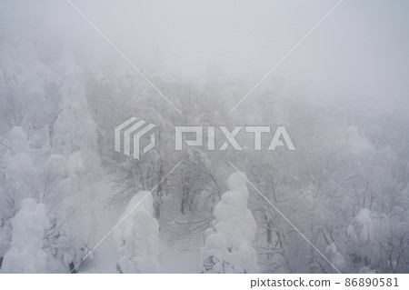 "Yamagata Zao's Tree Ice" on a snowy day Yamagata City, Yamagata Prefecture 86890581