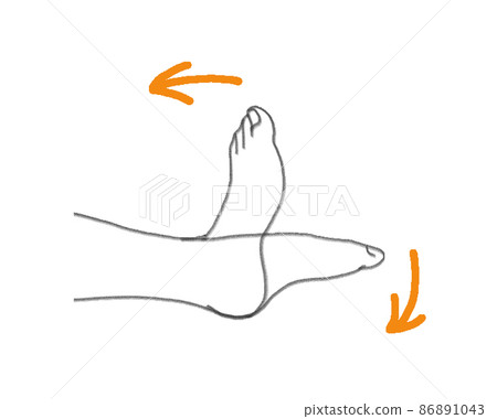 Ankle and joint movements 86891043