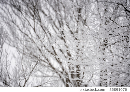 Winter Zao Plateau "Rime" Yamagata City, Yamagata Prefecture Winter Zao Plateau "Rime" Yamagata City, Yamagata Prefecture 86891076