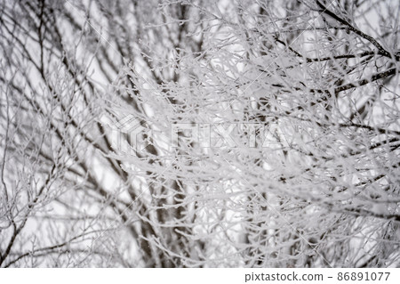 Winter Zao Plateau "Rime" Yamagata City, Yamagata Prefecture Winter Zao Plateau "Rime" Yamagata City, Yamagata Prefecture 86891077
