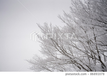 Winter Zao Plateau "Rime" Yamagata City, Yamagata Prefecture Winter Zao Plateau "Rime" Yamagata City, Yamagata Prefecture 86891078